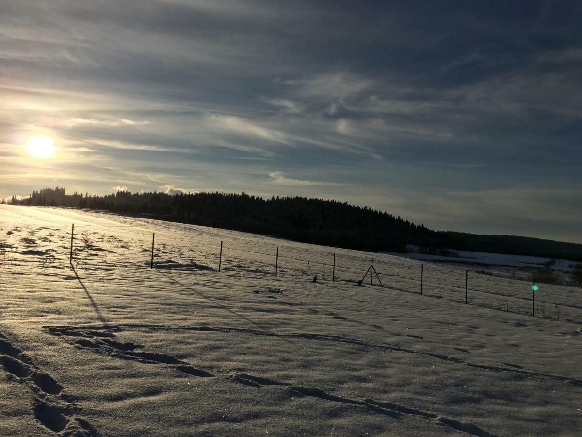 Domek Na Jagodowym Wzgorzu Villa Falsztyn Eksteriør billede